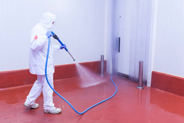 Best Patio and Deck Pressure Washing  in Islip Terrace, NY